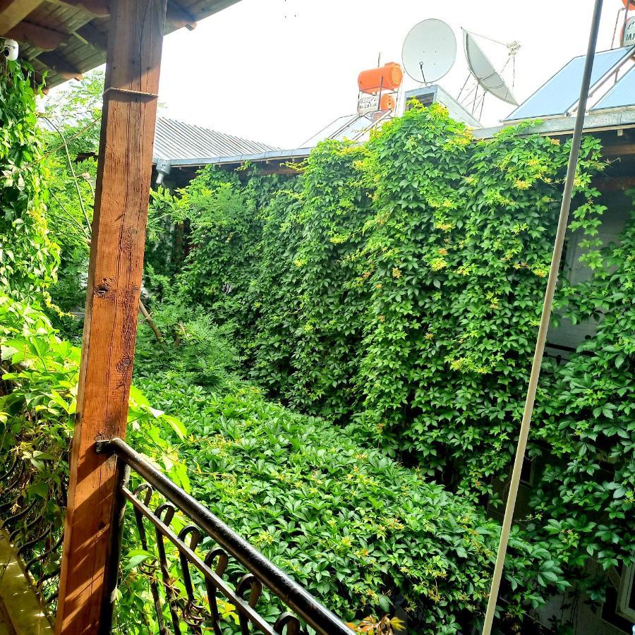 Hotel Botanical Samarcande Extérieur photo