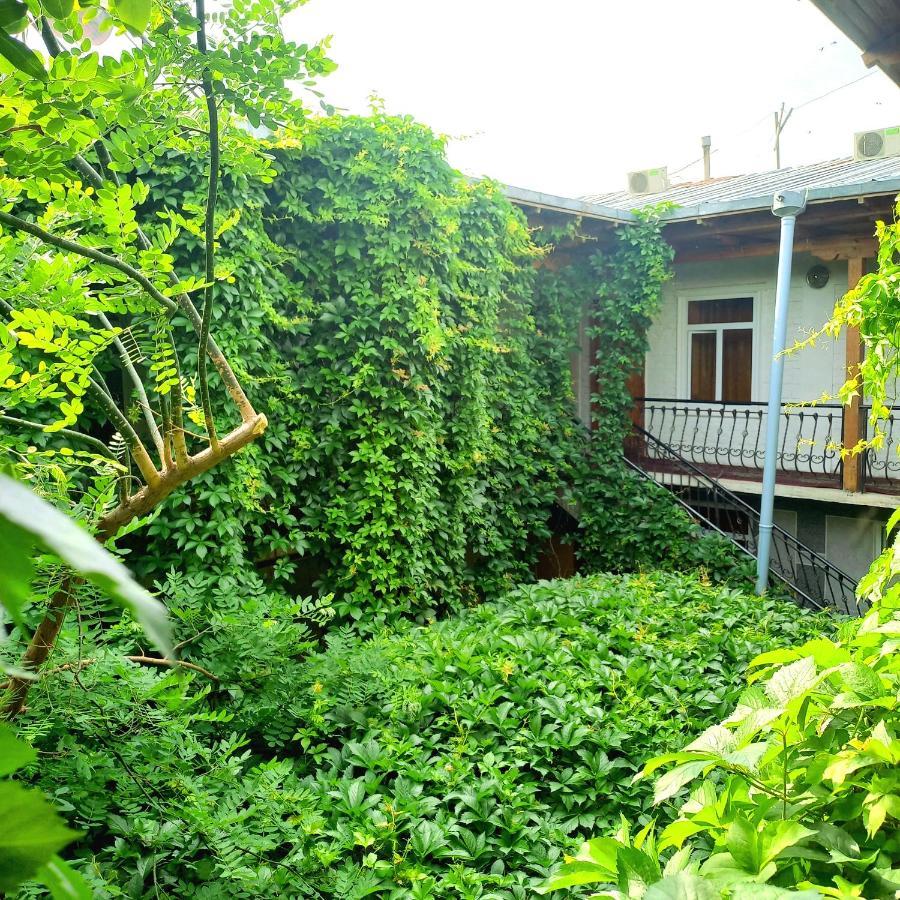 Hotel Botanical Samarcande Extérieur photo